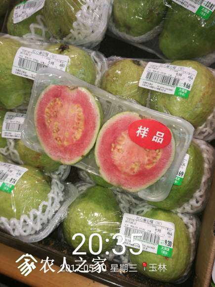 ִ󷢳о