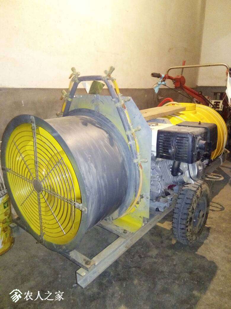 214732fjzk4lpp29t1ptn4.jpg