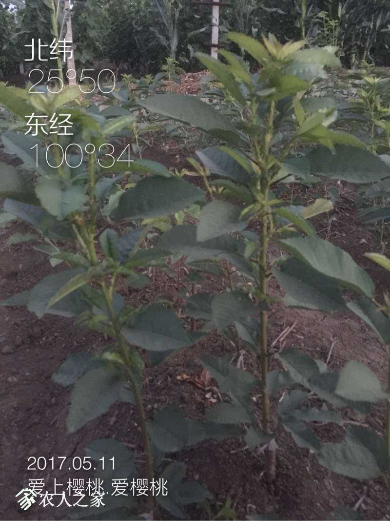 215514ietcl82n2ptjchpy.jpg