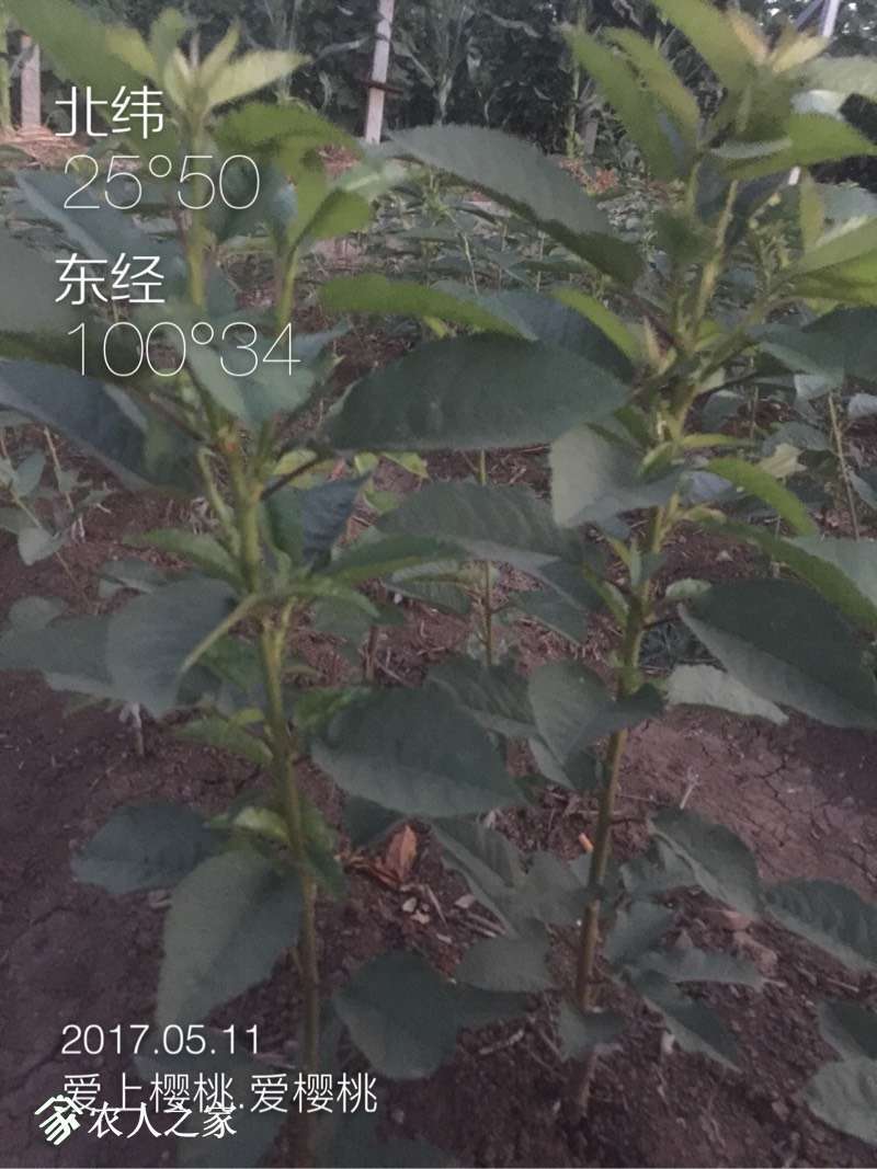 225052jbaafpirpbbhzkad.jpg