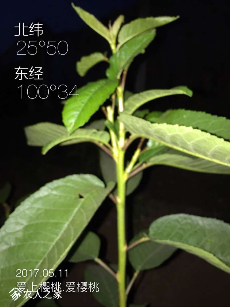 225925tncgtgm1yig7p111.jpg