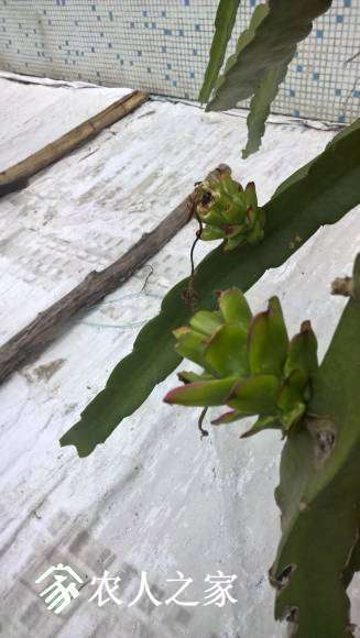 WP_20170511_18_10_51_Pro.jpg