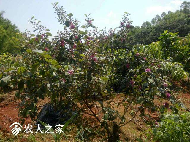 082454qohj952huzzzj935.jpg