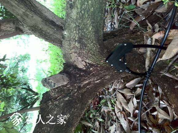 axx002.jpg