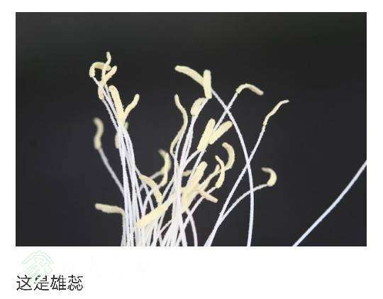100954dy8cca8zm46mmsya.png