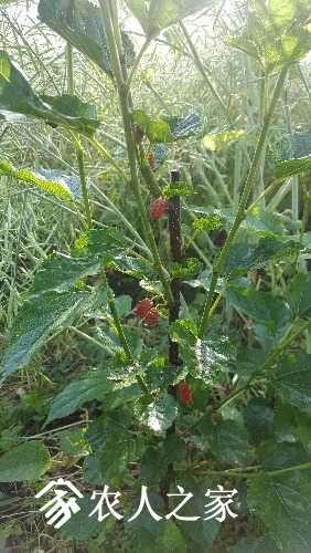 20170510_071731.jpg