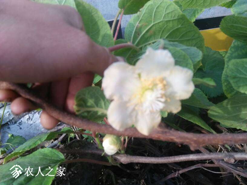 201026bi2vme9uj6uvxyzf.jpg