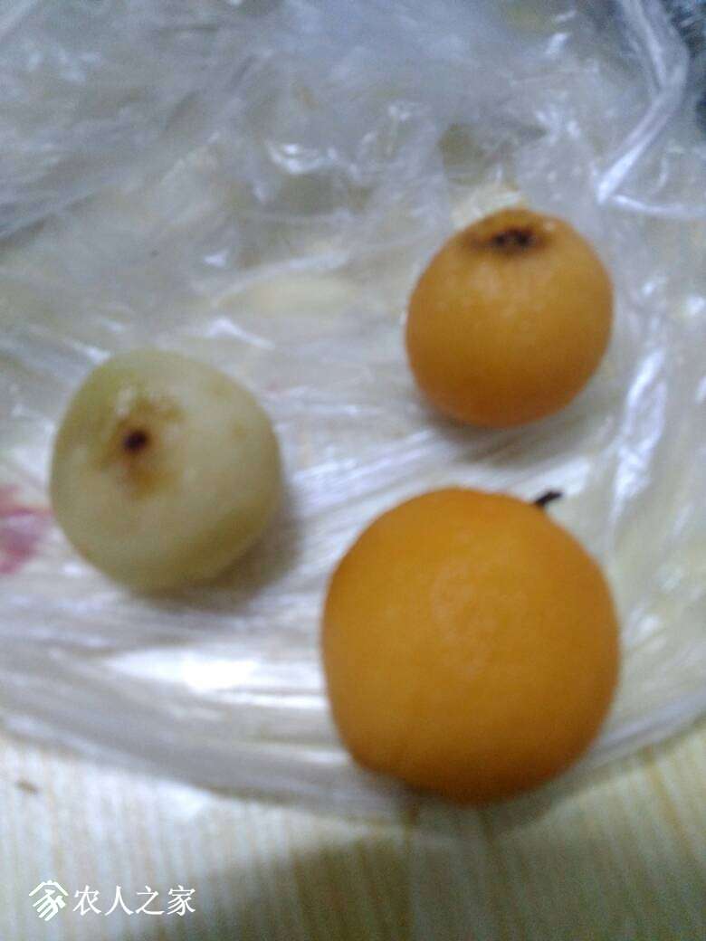 221322onn0d72hvvzv2vd4.jpg