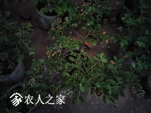 IMG20170508185438.jpg