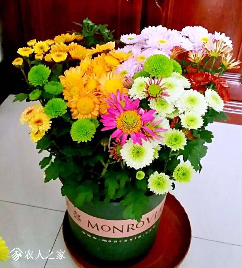 174527xt1kib1kr31niuzz.jpg