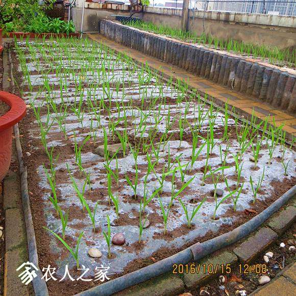 2016.9.15.ֲ 008.jpg