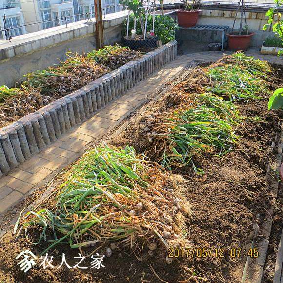 2017.5.12.̨ϲ 002.jpg