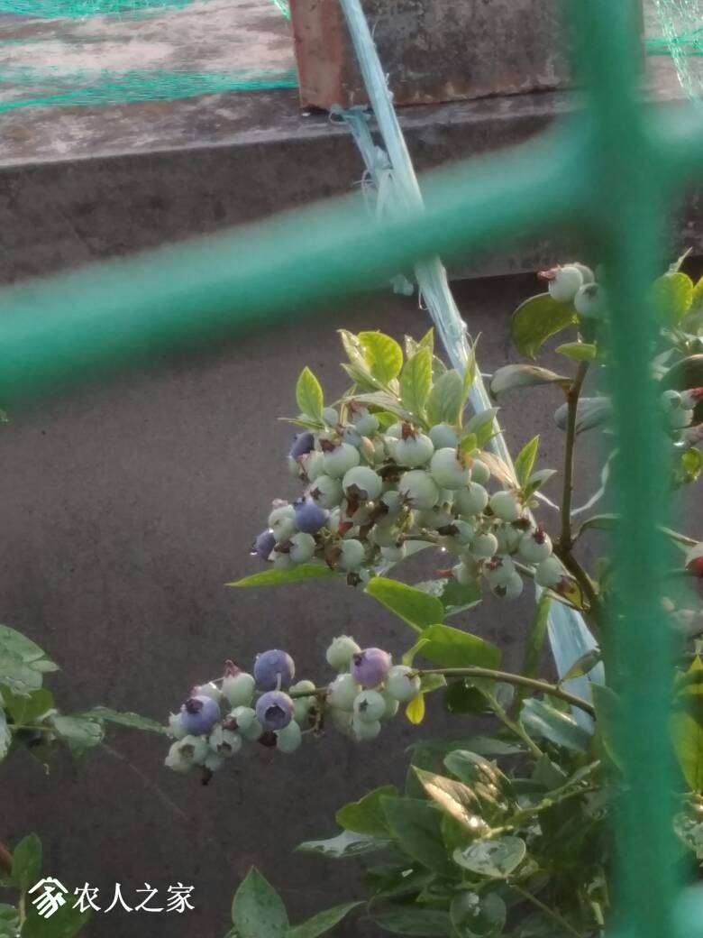 223347w4zkqwpkfku19rzp.jpg