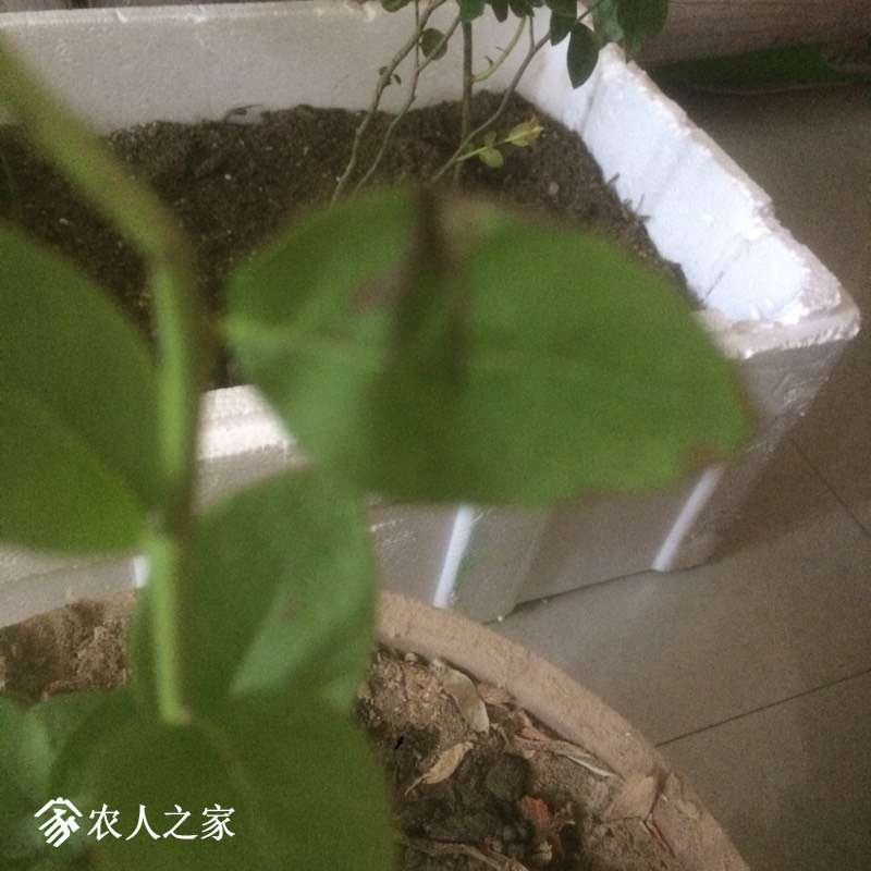 230320v95tyw9twkyskttk.jpg