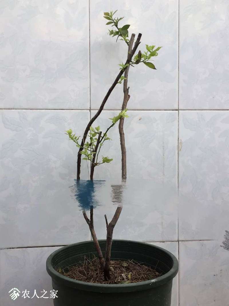 000440ujjnbn4cgh1j9zbe.jpg