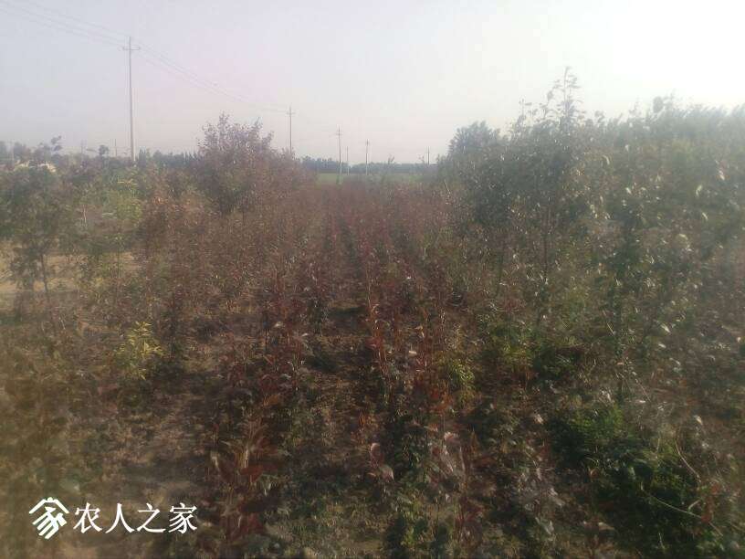 062522bftbnioi3fdrjjbr.jpg