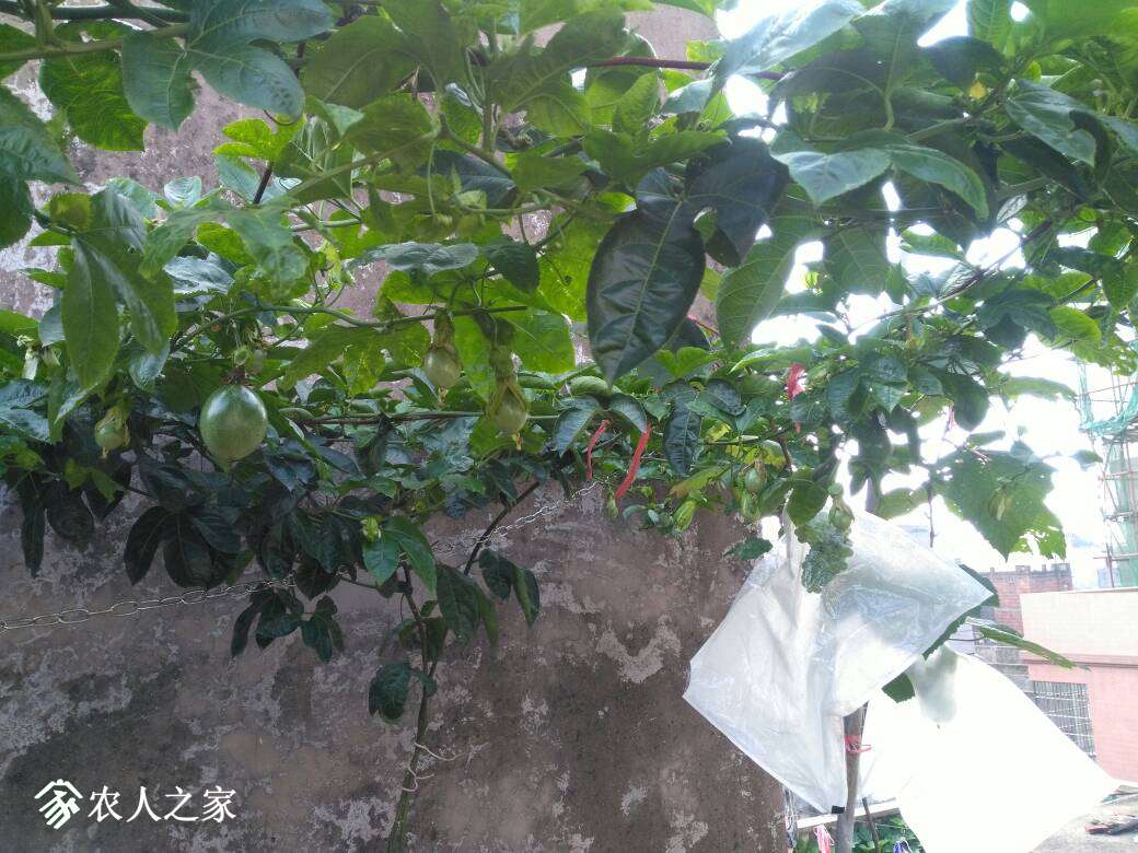 081800t0eetbz81ekki15b.jpg