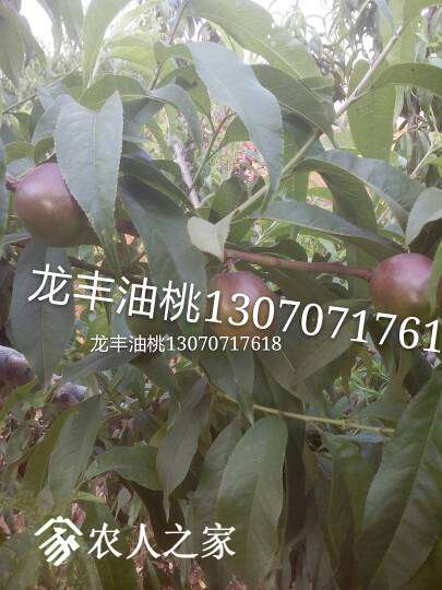 081819s090er80sr8qvauu.jpg