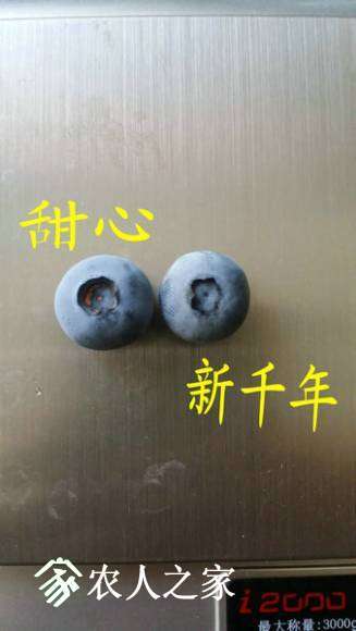 20170514_093125.jpg