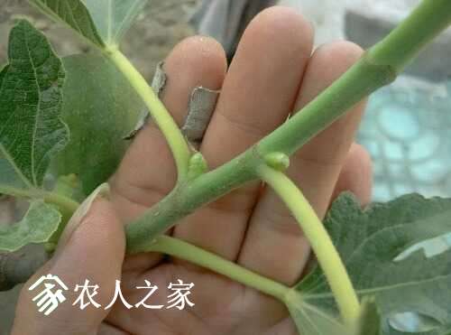 IMG_20170514_061043_AO_HDR.jpg