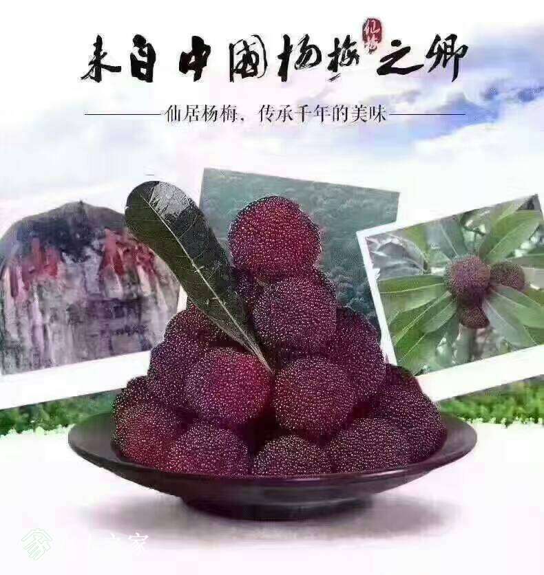 003834viwhxuzbzfks0gzb.jpg