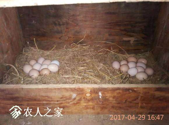 QQͼƬ20170508175657.jpg