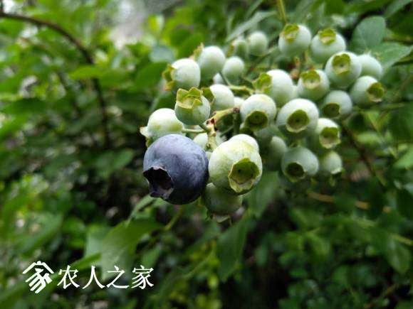 2008003047.jpg