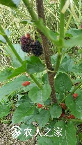 20170515_132924.jpg