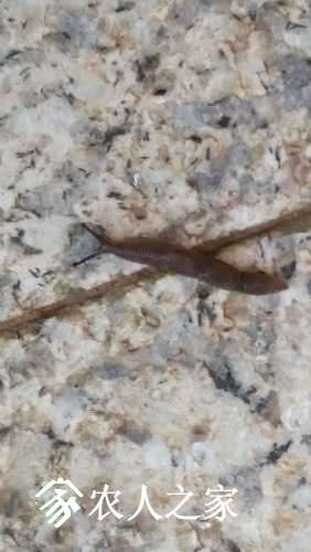 20170510_063234.jpg