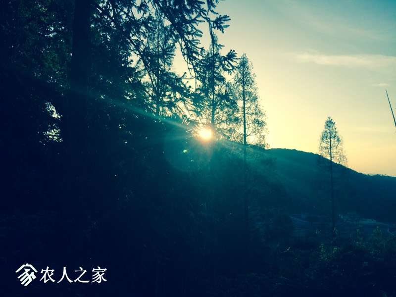 160101rznrwgjn77r8ra6q.jpg