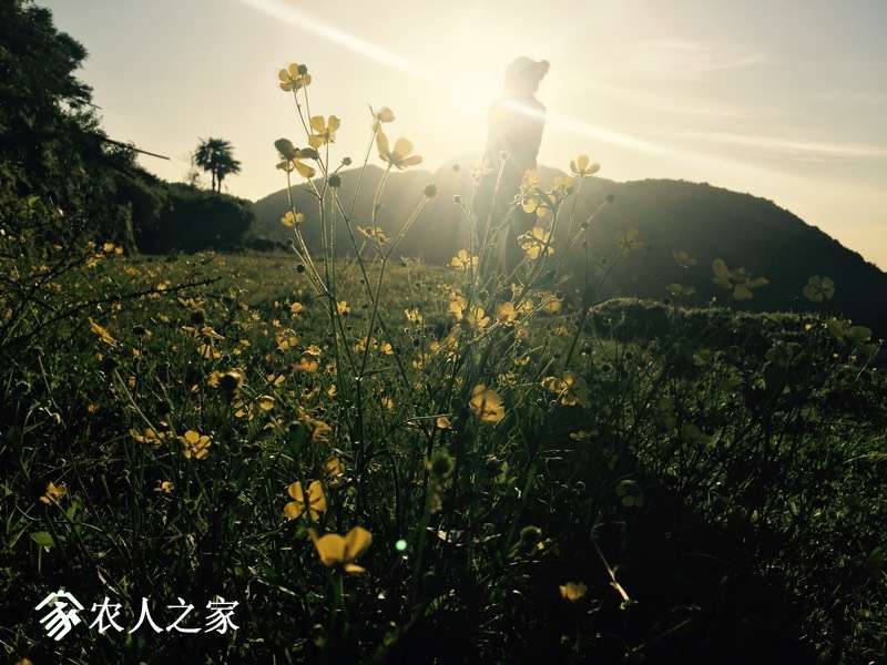 160131u7s54dq9666425my.jpg