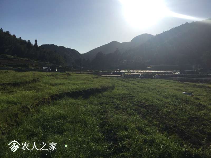 160131y59foo15157052hh.jpg