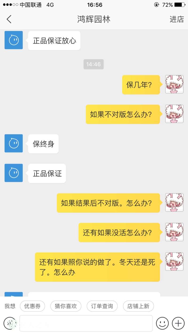 165839t4po38o4o6od6ob4.jpg