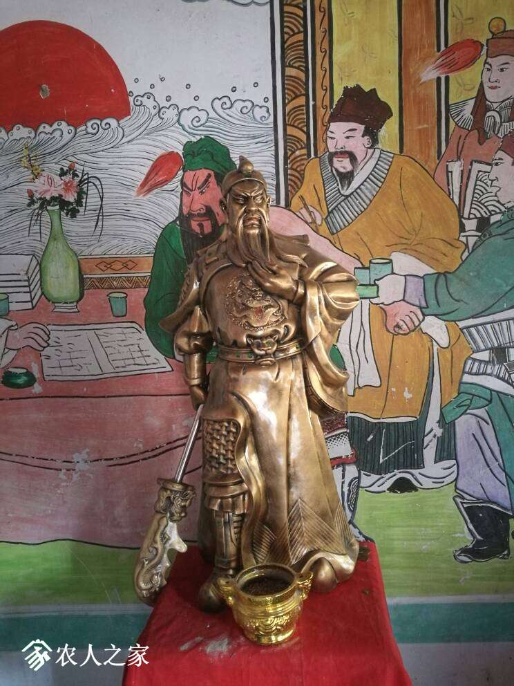 182401qd1x9hhll1dg8gqk.jpg