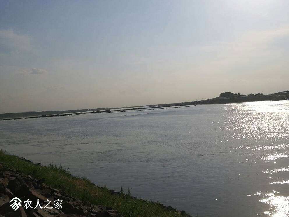 182403pko8b8zhijot68hh.jpg