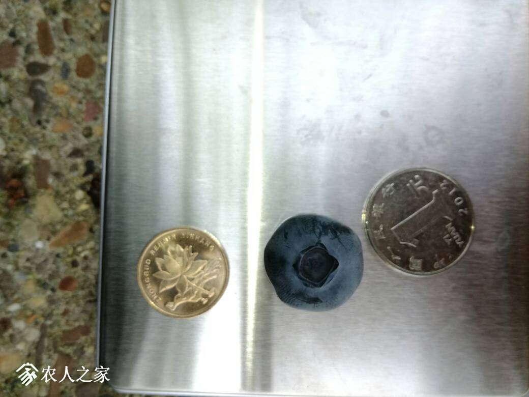 231957dzwwarim79gw9us3.jpg