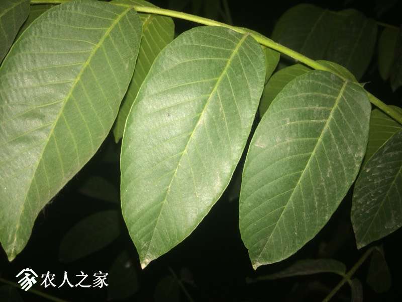 234506rxqexru99ekkruzg.jpg