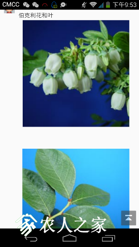 Screenshot_2017-04-07-21-53-52.png