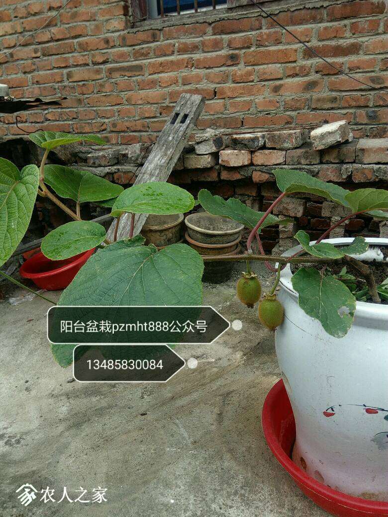 174947tlj4yynz6npzp67z.jpg