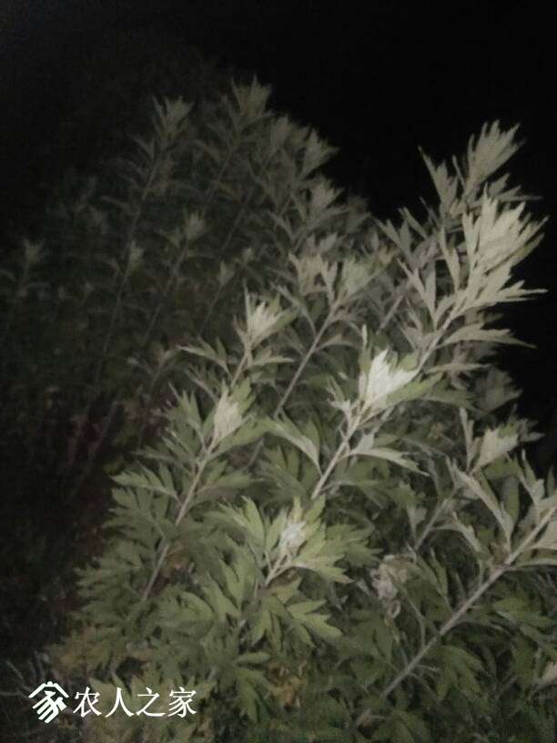 200631opkrvs3qukgspvgh.jpg