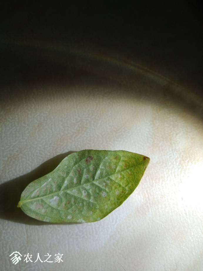 210059g3uu84nuqpnbtbn8.jpg