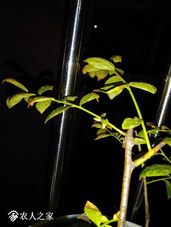 210100d370x878yxtjt238.jpg