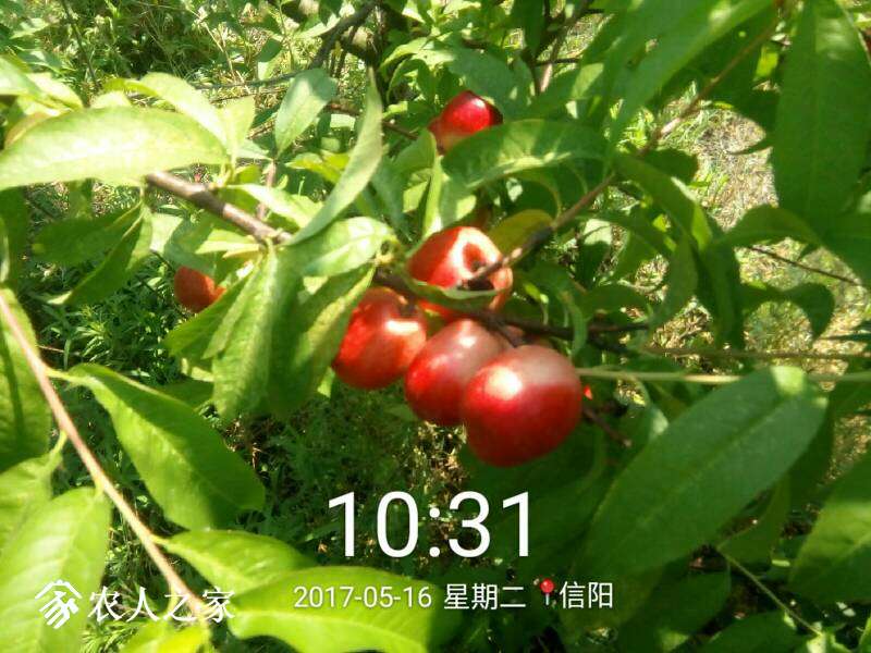 070833annaqkhkkhhqmcsk.jpg