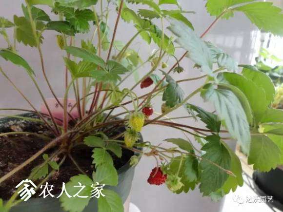 20170517_172901_142.jpg