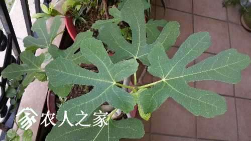20170517_065347.jpg