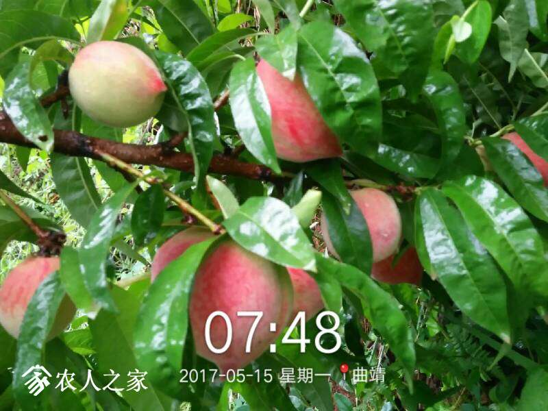 224407bpm3mnhc1h13qcm1.jpg