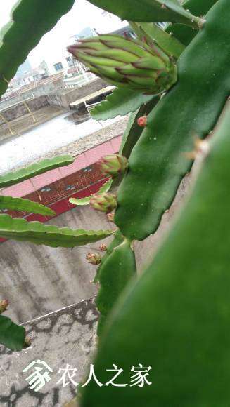 IMG_20170518_140519.jpg