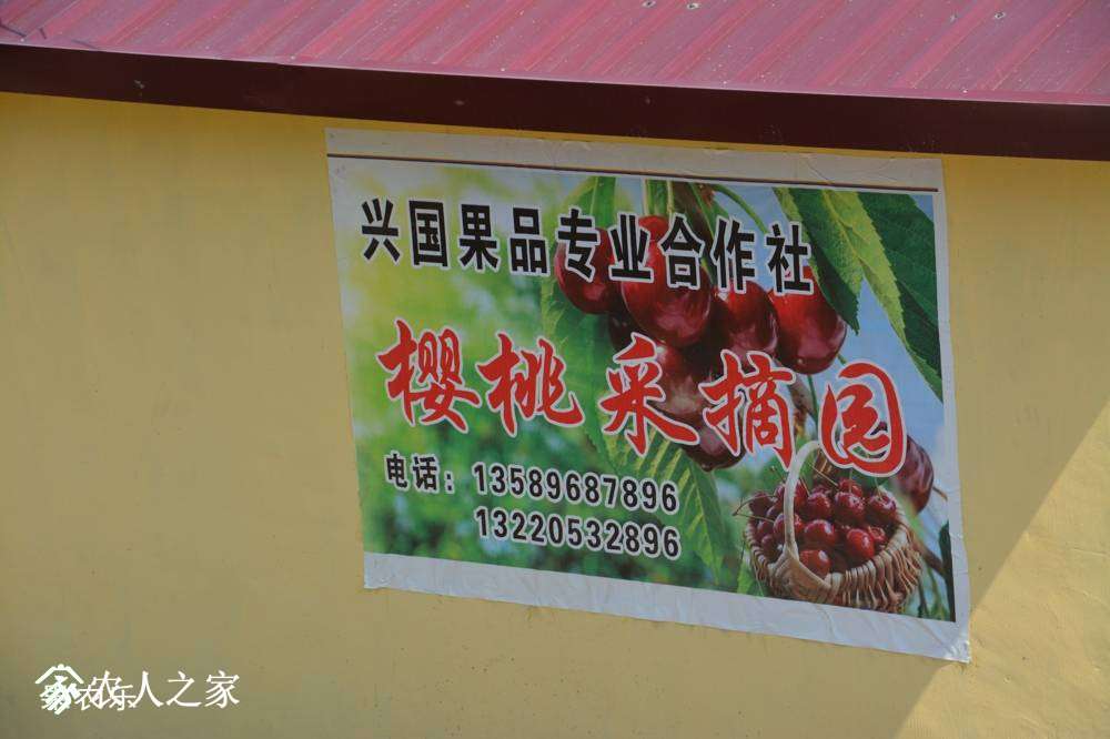164610uwosyhywoboc5b34.jpg