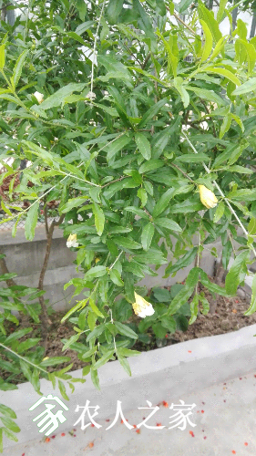 IMG_20170514_165950.jpg