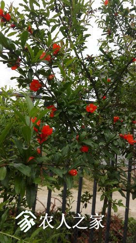 IMG_20170514_165959.jpg